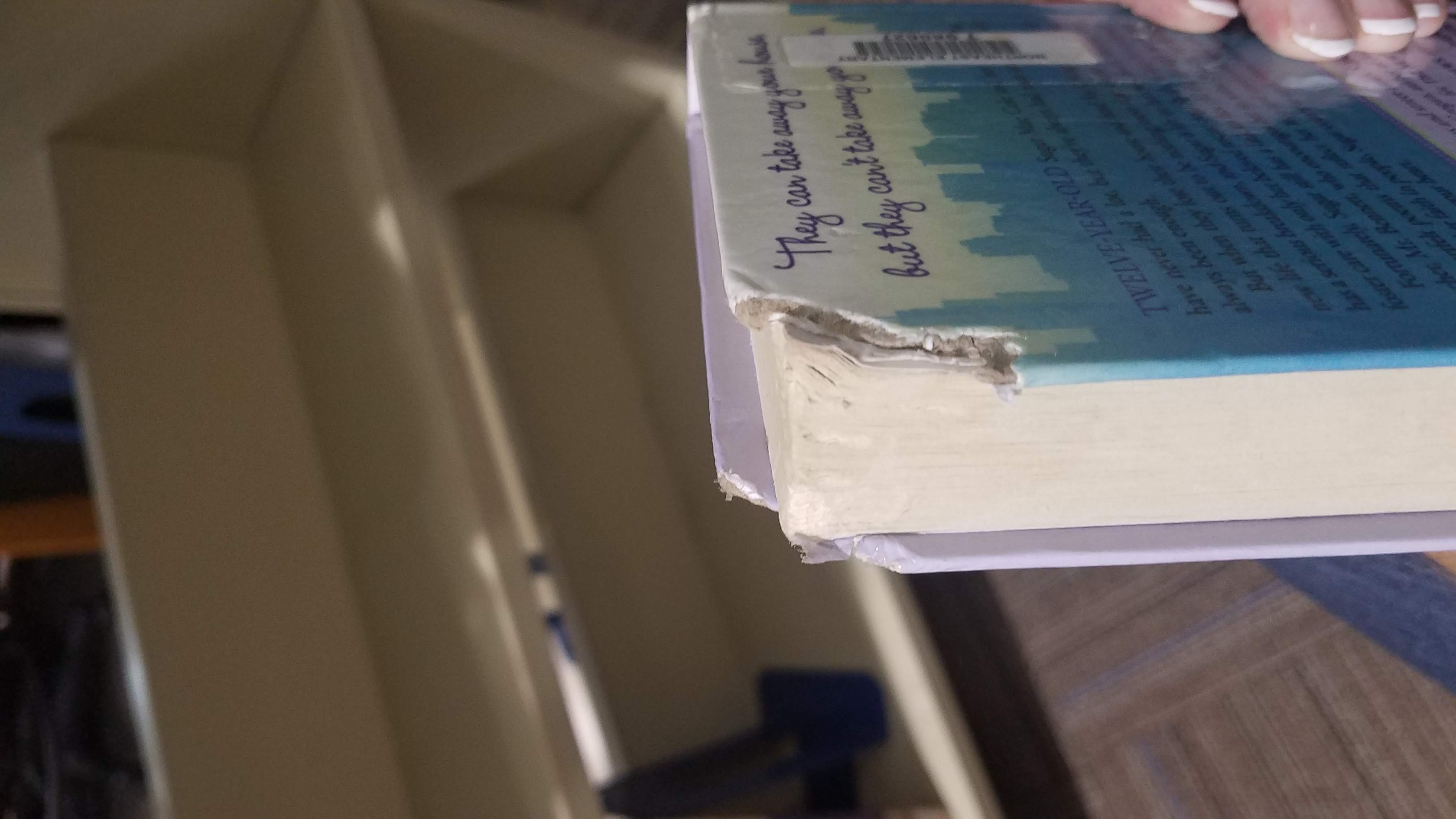 Example of animal chewed corners of book