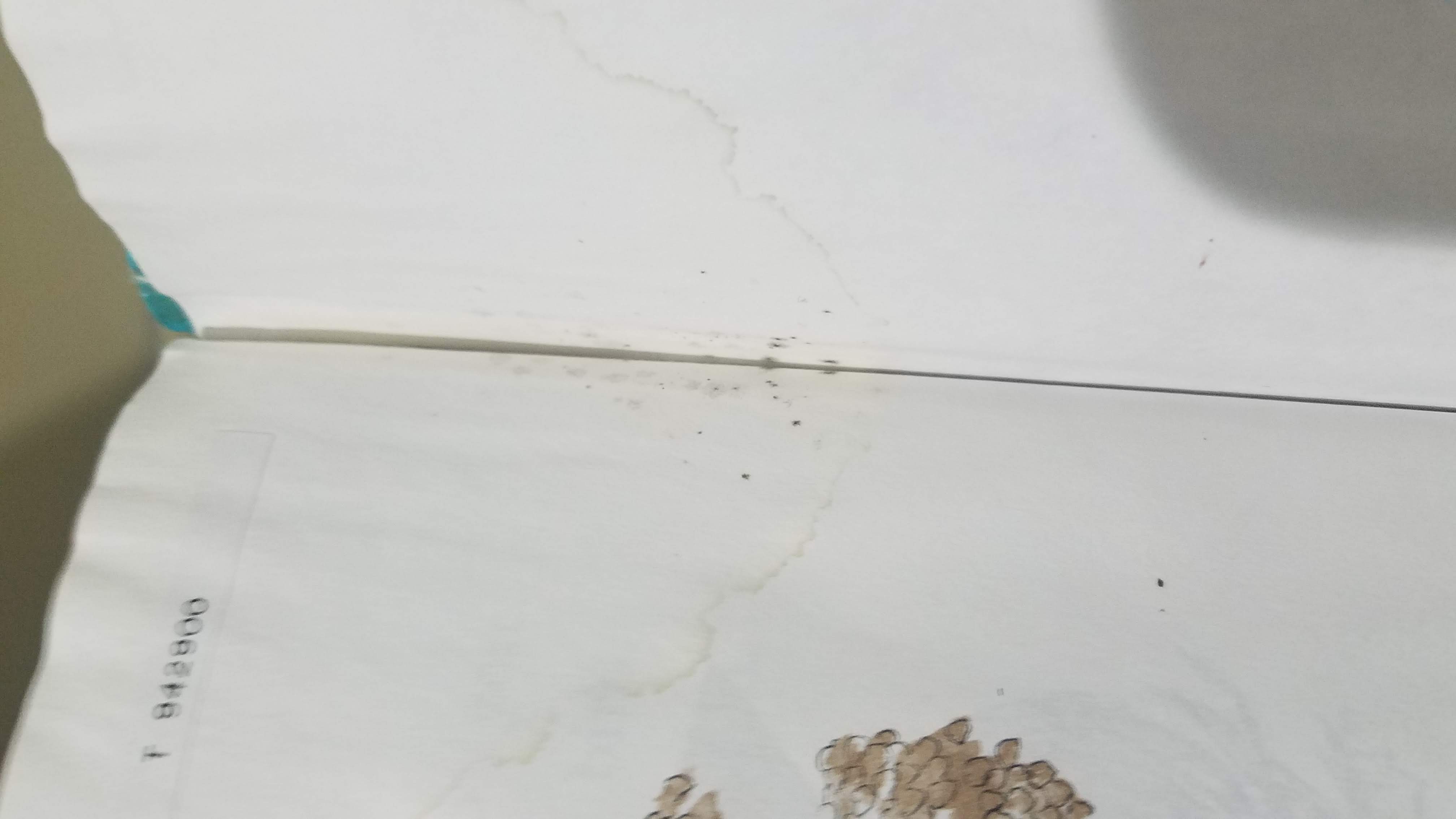 Example of liquid damage and mold in a book